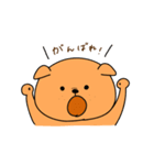 にこいちわんこ（個別スタンプ：11）