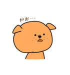 にこいちわんこ（個別スタンプ：27）