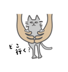 ねこの生態（個別スタンプ：5）