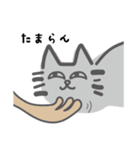 ねこの生態（個別スタンプ：19）