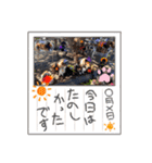 OrchiDOGs-Halloween（個別スタンプ：4）