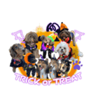 OrchiDOGs-Halloween（個別スタンプ：5）