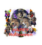 OrchiDOGs-Halloween（個別スタンプ：9）