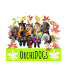 OrchiDOGs-Halloween（個別スタンプ：11）