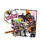 OrchiDOGs-Halloween（個別スタンプ：12）