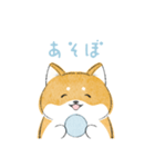 にこにこ柴ちゃん（個別スタンプ：1）