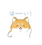 にこにこ柴ちゃん（個別スタンプ：2）