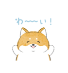 にこにこ柴ちゃん（個別スタンプ：3）