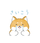 にこにこ柴ちゃん（個別スタンプ：4）