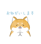 にこにこ柴ちゃん（個別スタンプ：5）