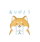 にこにこ柴ちゃん（個別スタンプ：6）