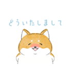 にこにこ柴ちゃん（個別スタンプ：7）