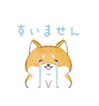 にこにこ柴ちゃん（個別スタンプ：8）