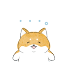 にこにこ柴ちゃん（個別スタンプ：9）