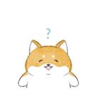 にこにこ柴ちゃん（個別スタンプ：10）