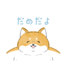 にこにこ柴ちゃん（個別スタンプ：17）