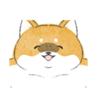にこにこ柴ちゃん（個別スタンプ：18）