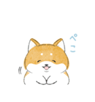 にこにこ柴ちゃん（個別スタンプ：22）