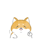 にこにこ柴ちゃん（個別スタンプ：23）