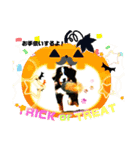 ハロウィン、クリスマス、可愛い超大型犬（個別スタンプ：2）