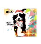 ハロウィン、クリスマス、可愛い超大型犬（個別スタンプ：7）