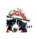 ハロウィン、クリスマス、可愛い超大型犬（個別スタンプ：9）