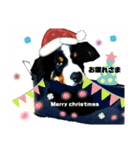 ハロウィン、クリスマス、可愛い超大型犬（個別スタンプ：12）