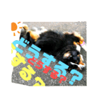 ハロウィン、クリスマス、可愛い超大型犬（個別スタンプ：18）