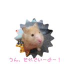 ハムスターとちょっぴりワンコのスタンプ✨（個別スタンプ：18）
