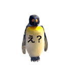 いつかの皇帝ペングイン（個別スタンプ：2）