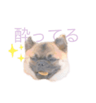 ポメなの？（個別スタンプ：9）