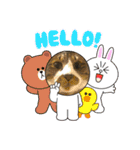 ねこちゃんスタンプ5（個別スタンプ：2）