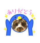 ねこちゃんスタンプ5（個別スタンプ：8）