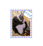 ねこちゃんスタンプ5（個別スタンプ：10）