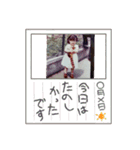 ステキなえりちゃん（個別スタンプ：21）