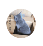 ルネさんの日常的に使えるスタンプ 2（個別スタンプ：2）