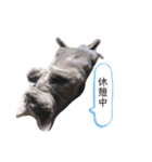 ルネさんの日常的に使えるスタンプ 2（個別スタンプ：6）