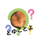 みおみおスタイル（個別スタンプ：7）