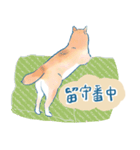 犬とくらすスタンプ(赤柴)（個別スタンプ：11）