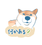 犬とくらすスタンプ(赤柴)（個別スタンプ：16）