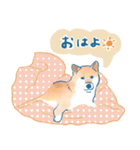 犬とくらすスタンプ(赤柴)（個別スタンプ：20）