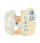 犬とくらすスタンプ(赤柴)（個別スタンプ：22）