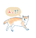 犬とくらすスタンプ(赤柴)（個別スタンプ：28）