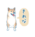 犬とくらすスタンプ(赤柴)（個別スタンプ：30）