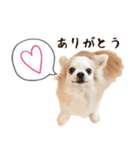 ソフィアスタンプbyKumicco（個別スタンプ：2）