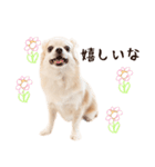 ソフィアスタンプbyKumicco（個別スタンプ：9）