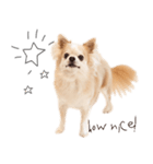 ソフィアスタンプbyKumicco（個別スタンプ：12）