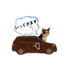ぺっとすたんぷ_その6（個別スタンプ：1）