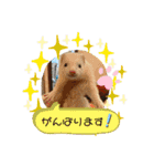ぺっとすたんぷ_その6（個別スタンプ：6）