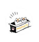 キジトラねこさんず（個別スタンプ：18）